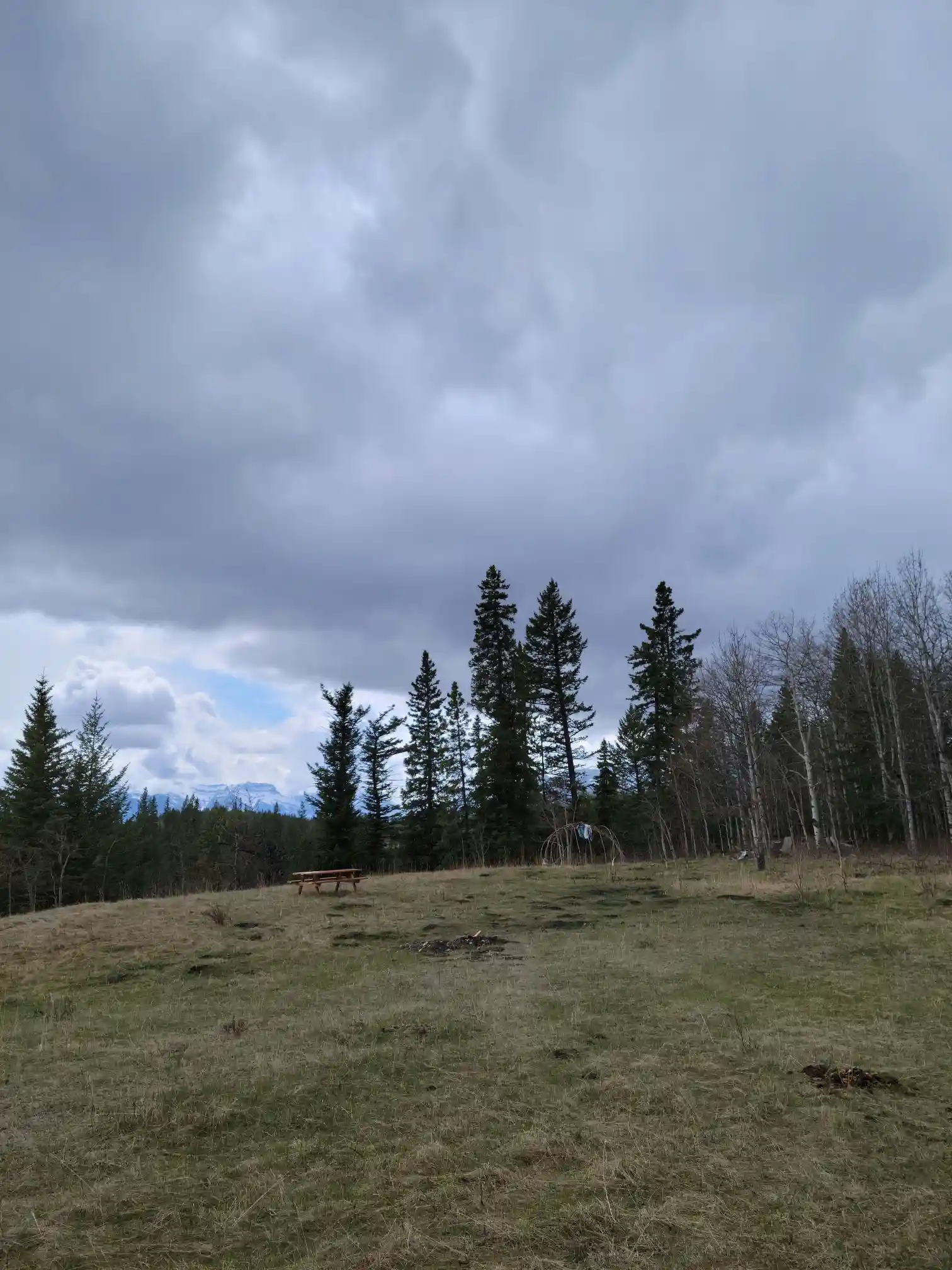 Photo of campsite A11