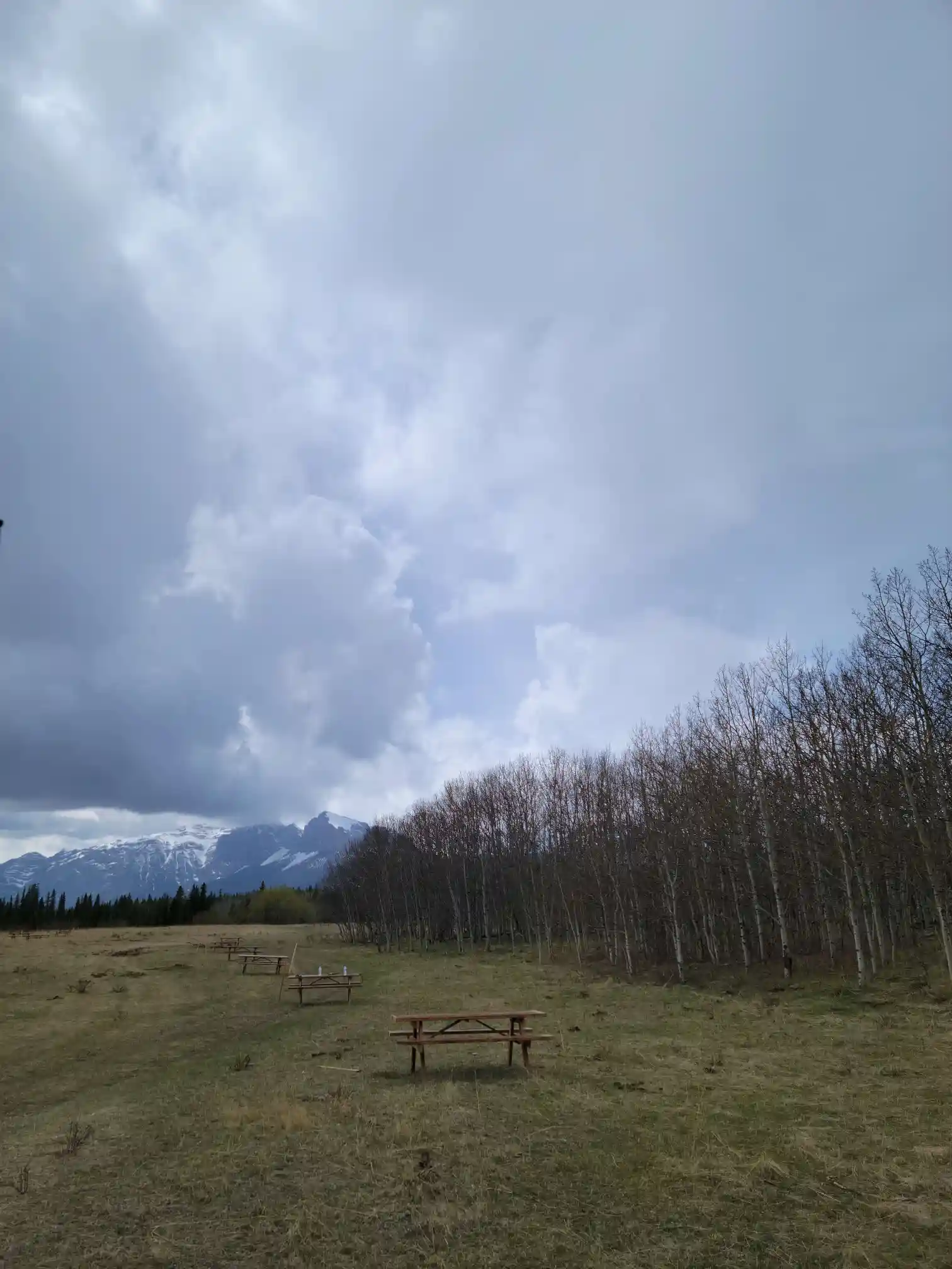 Photo of campsite A31 - A35