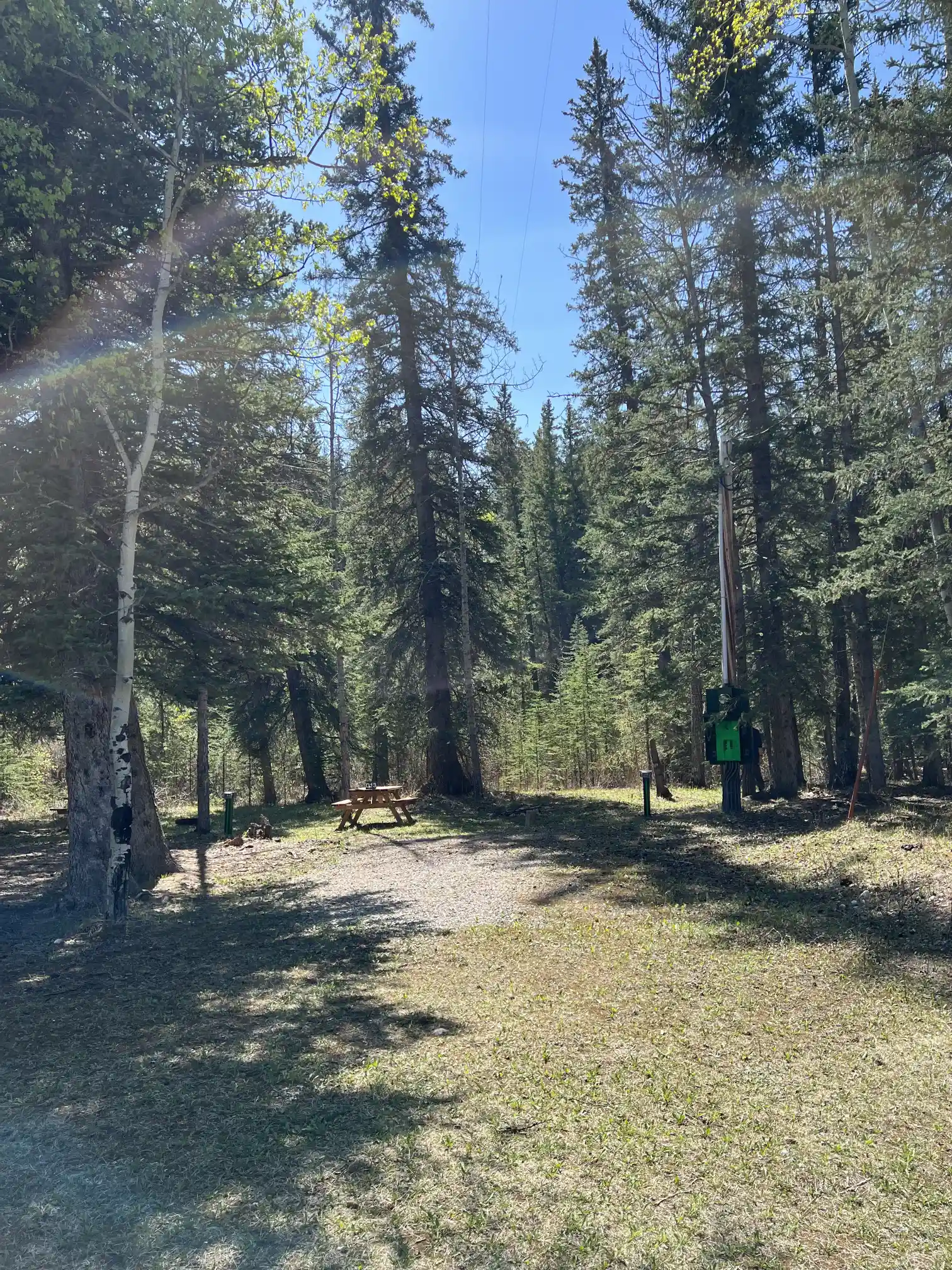 Photo of campsite D13