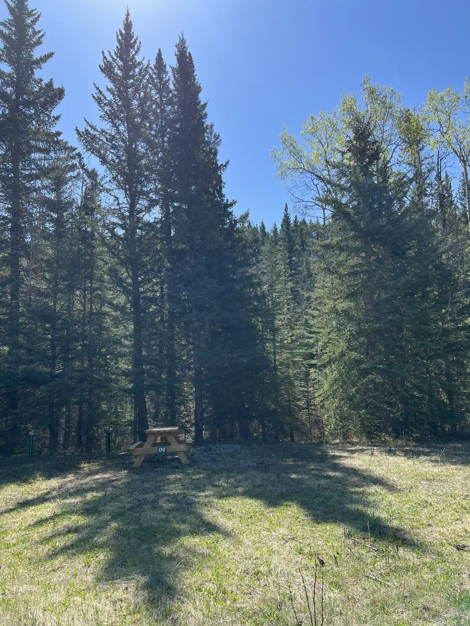 Photo of campsite D2