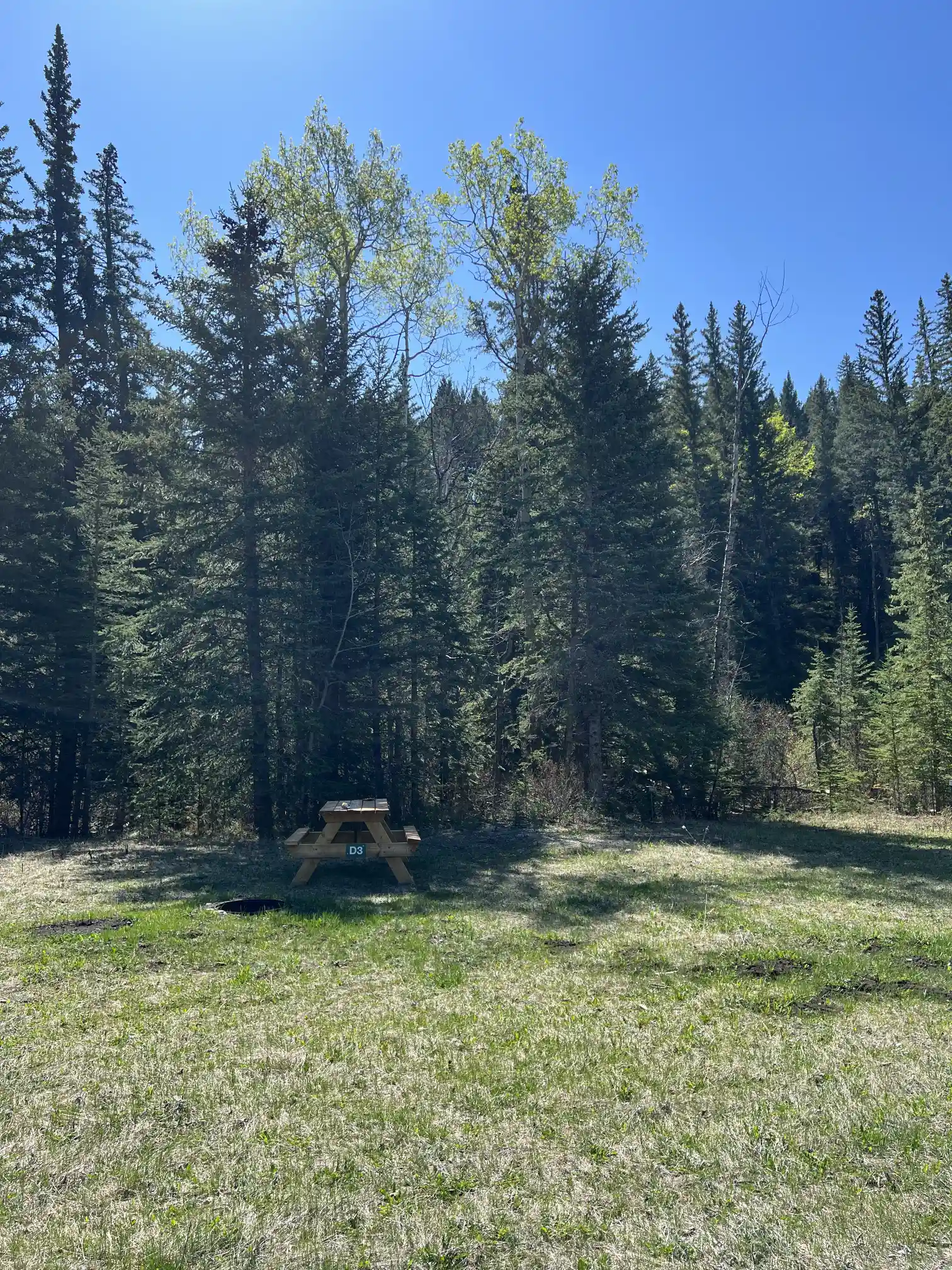 Photo of campsite D3