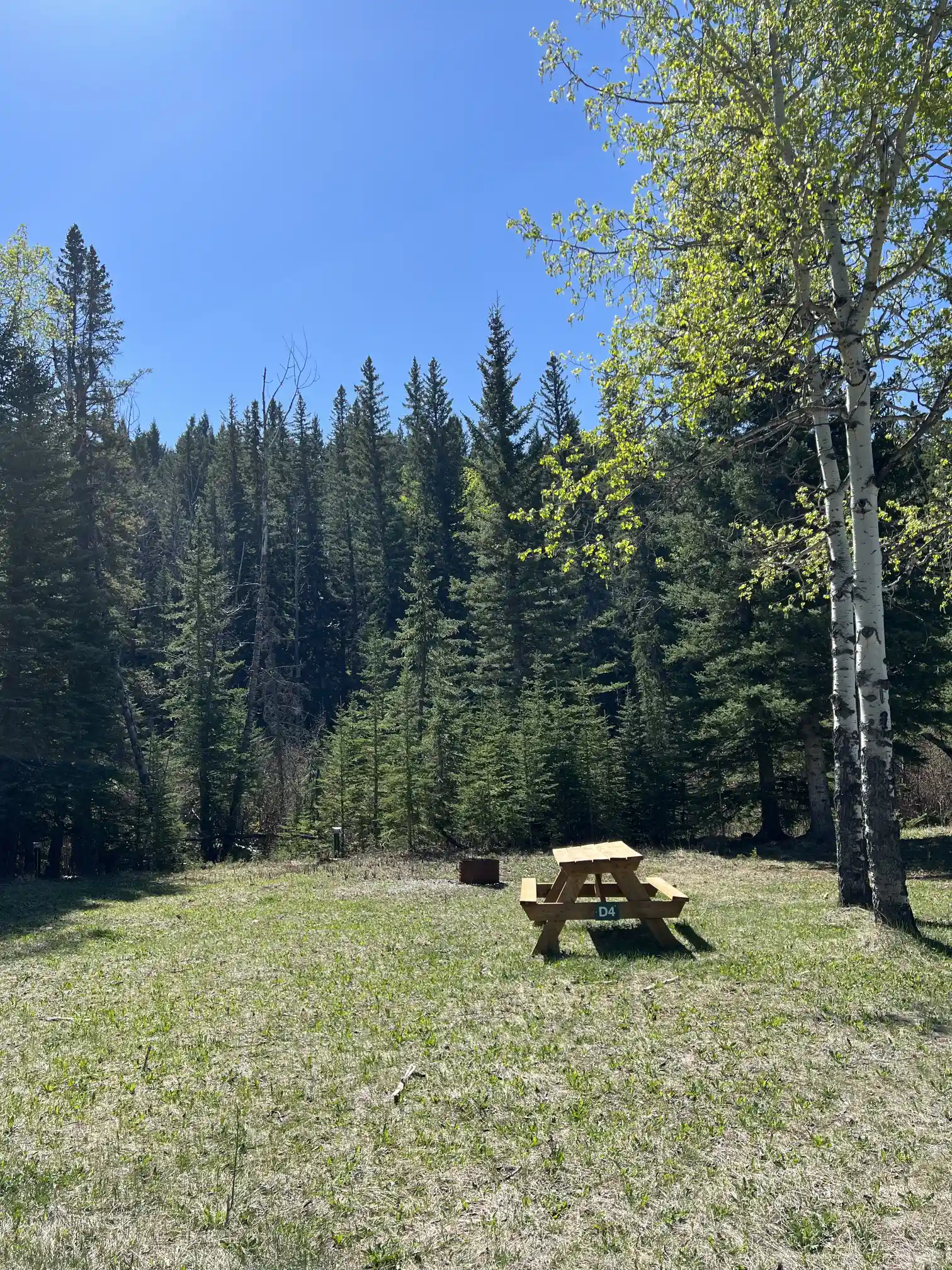 Photo of campsite D4