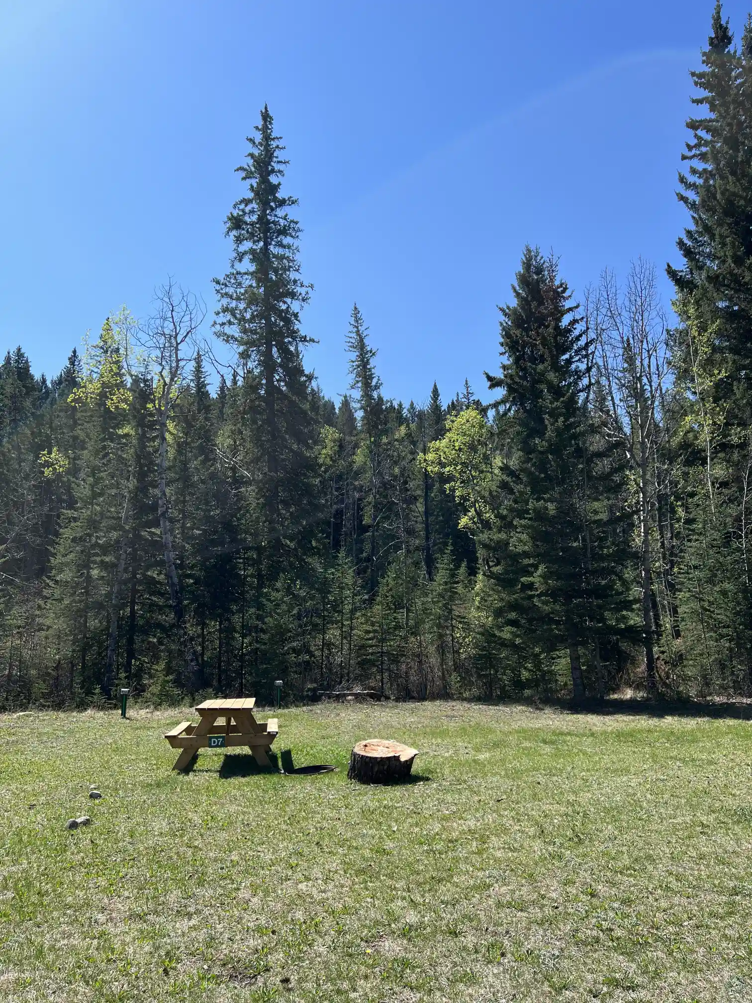 Photo of campsite D7