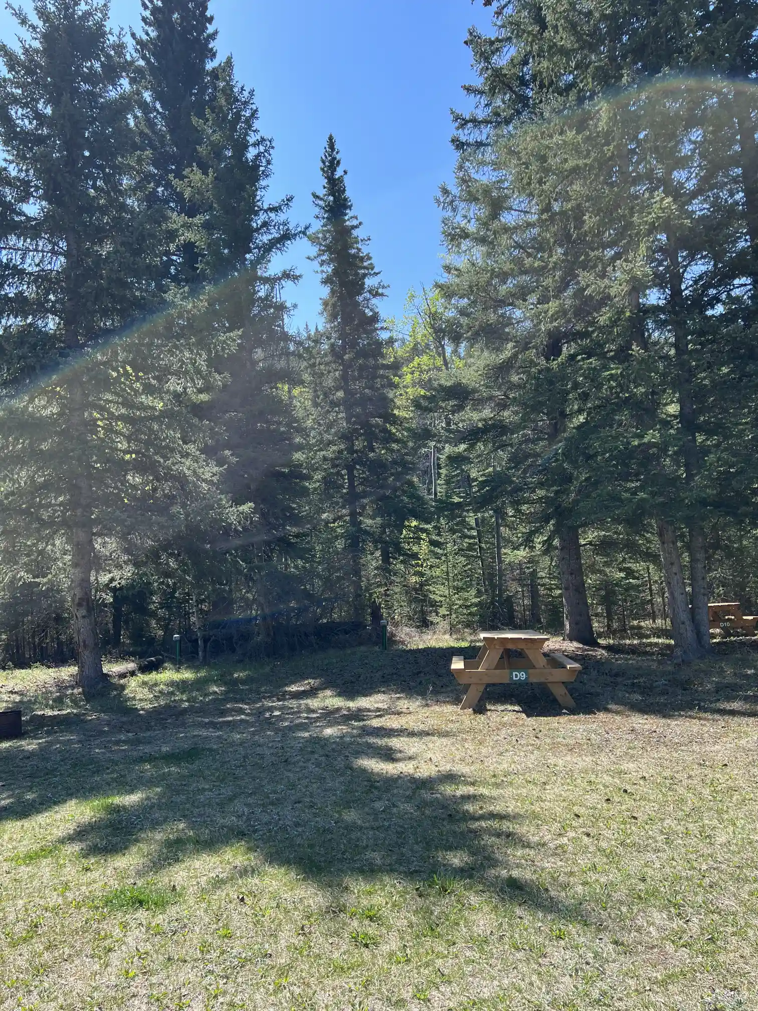 Photo of campsite D9