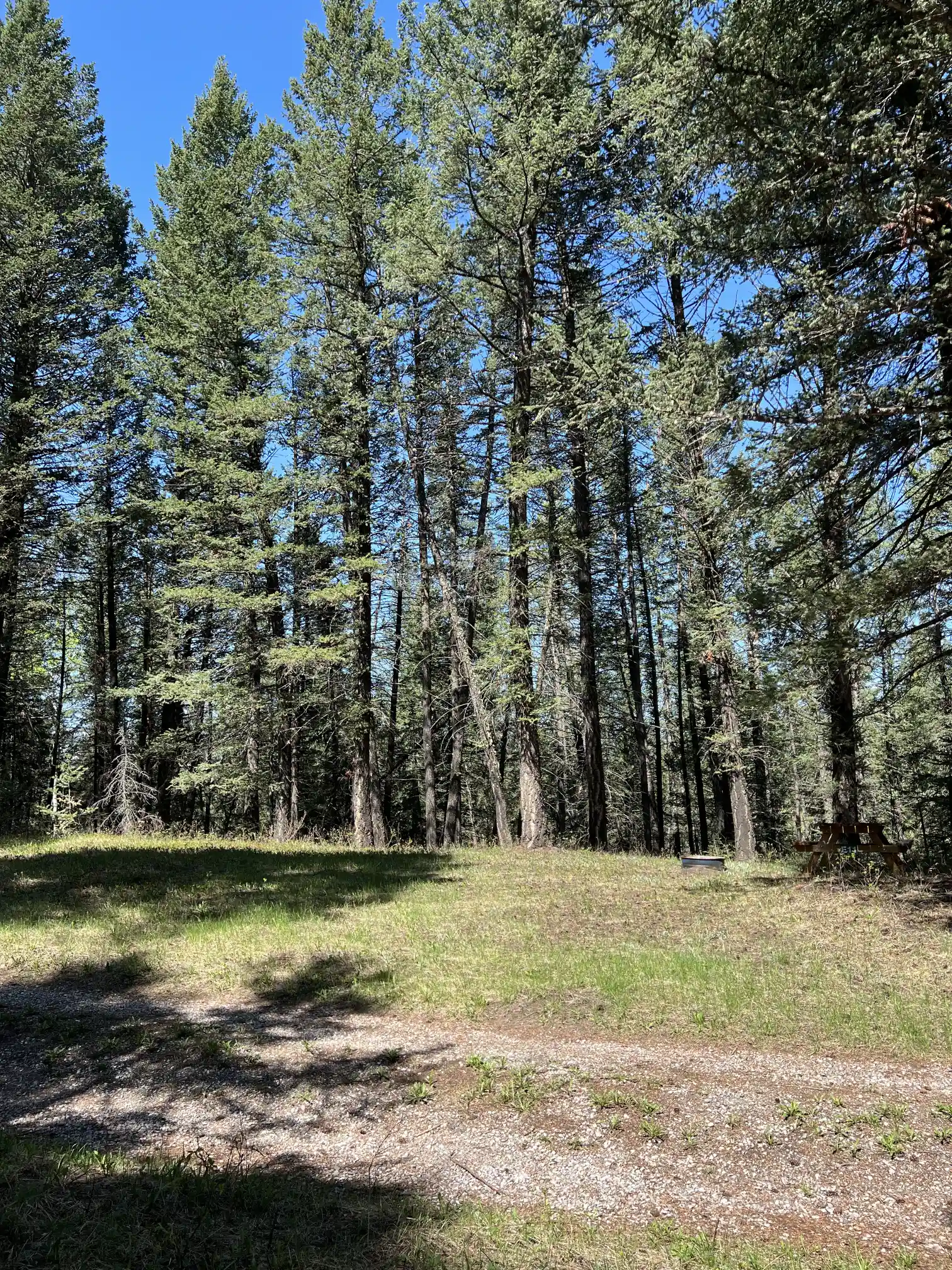 Photo of campsite E11