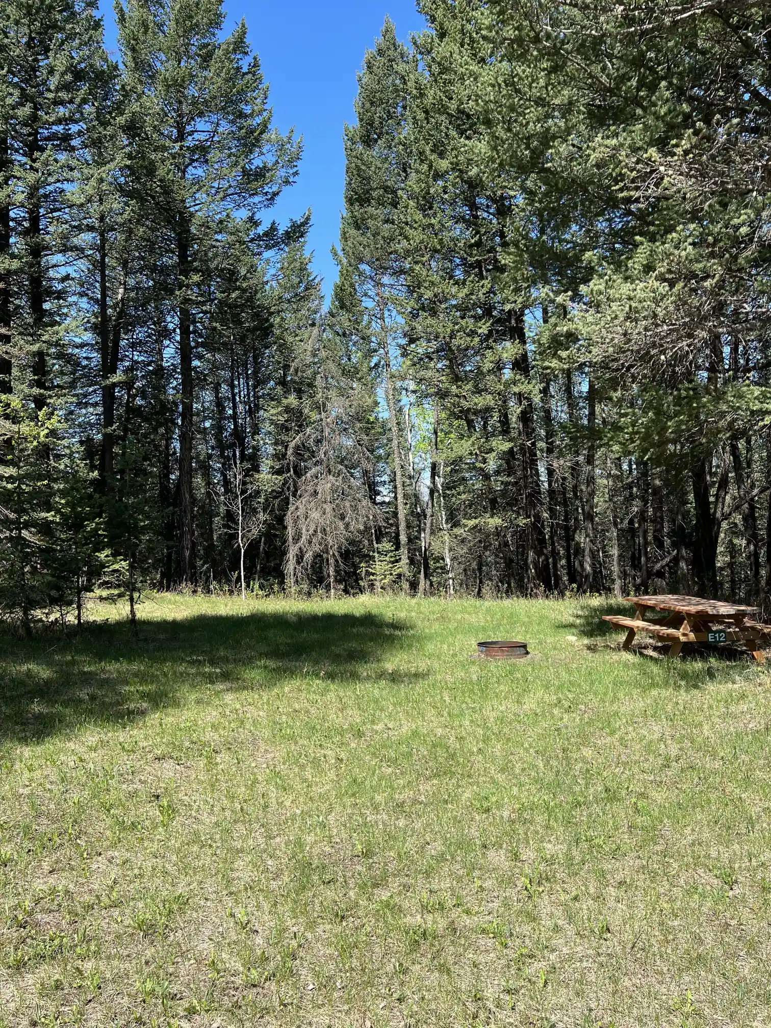 Photo of campsite E12