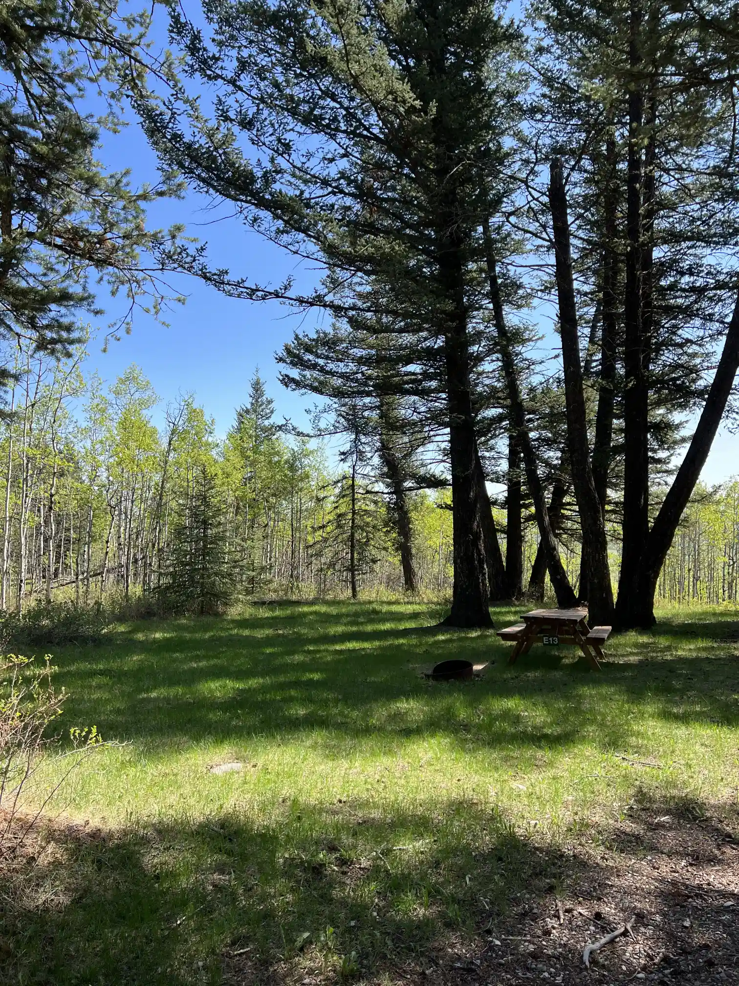 Photo of campsite E13