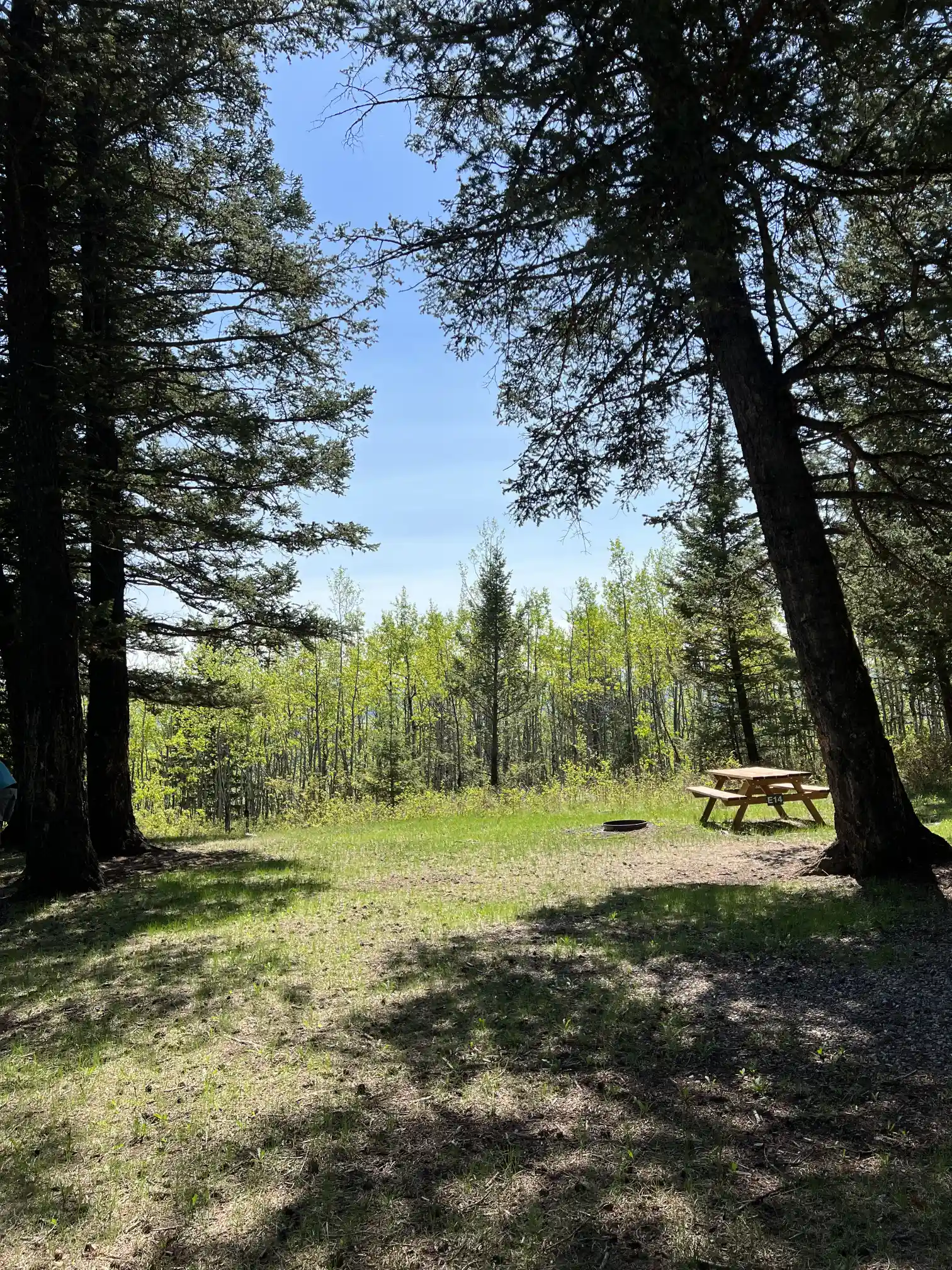 Photo of campsite E14