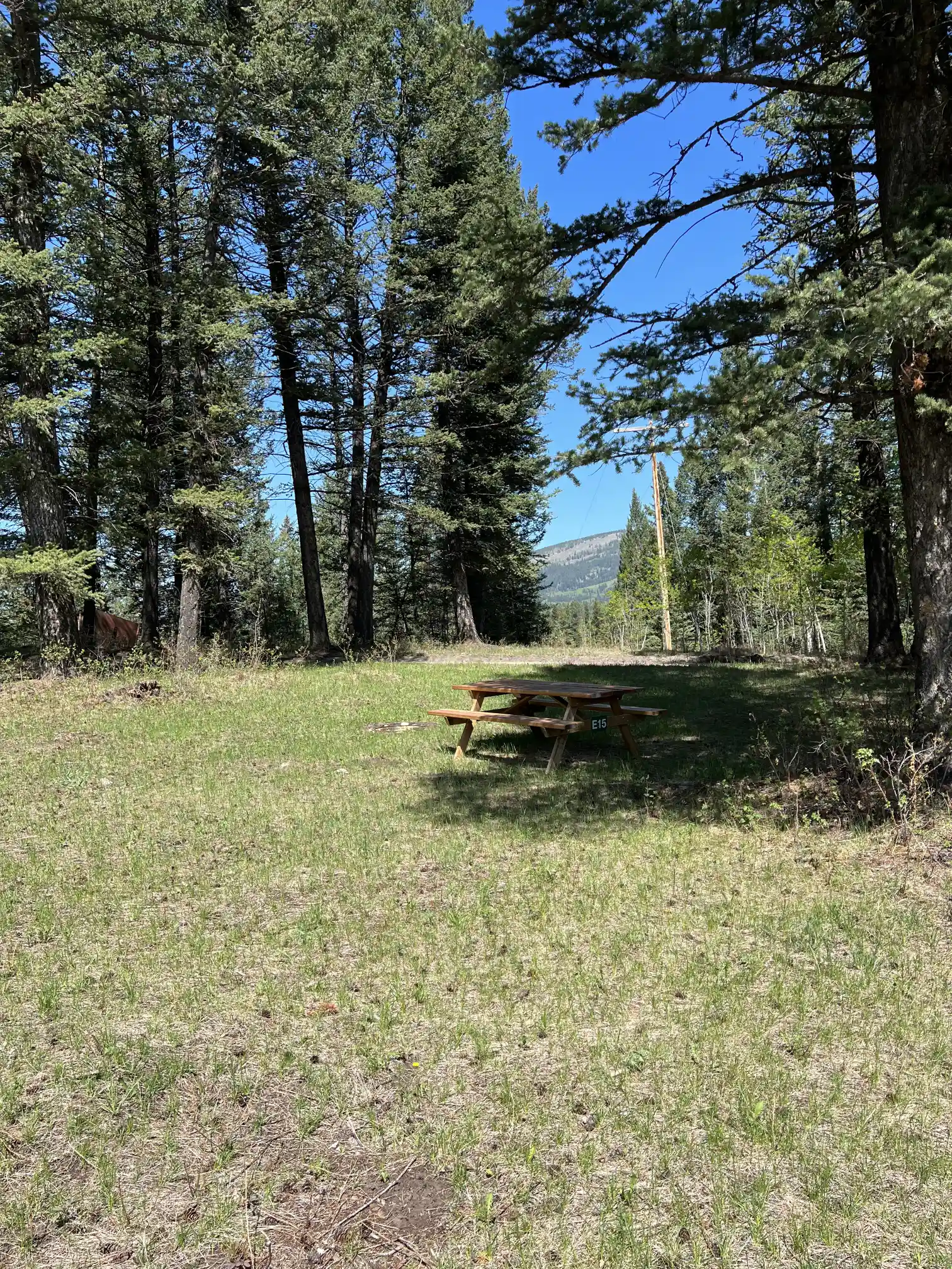 Photo of campsite E15