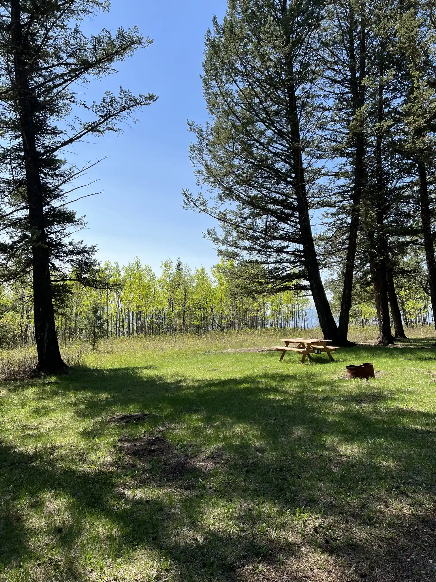 Photo of campsite E18