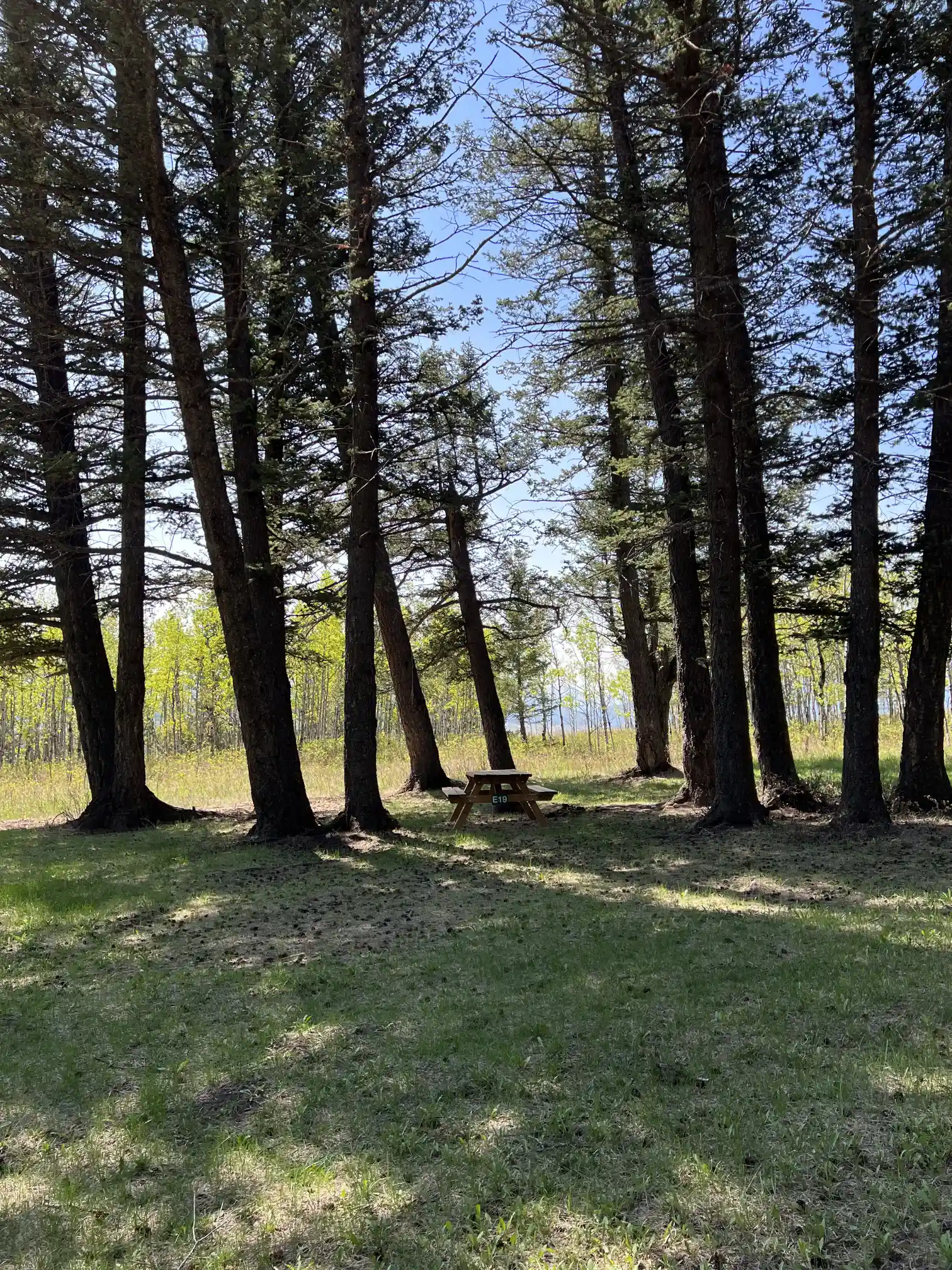 Photo of campsite E19