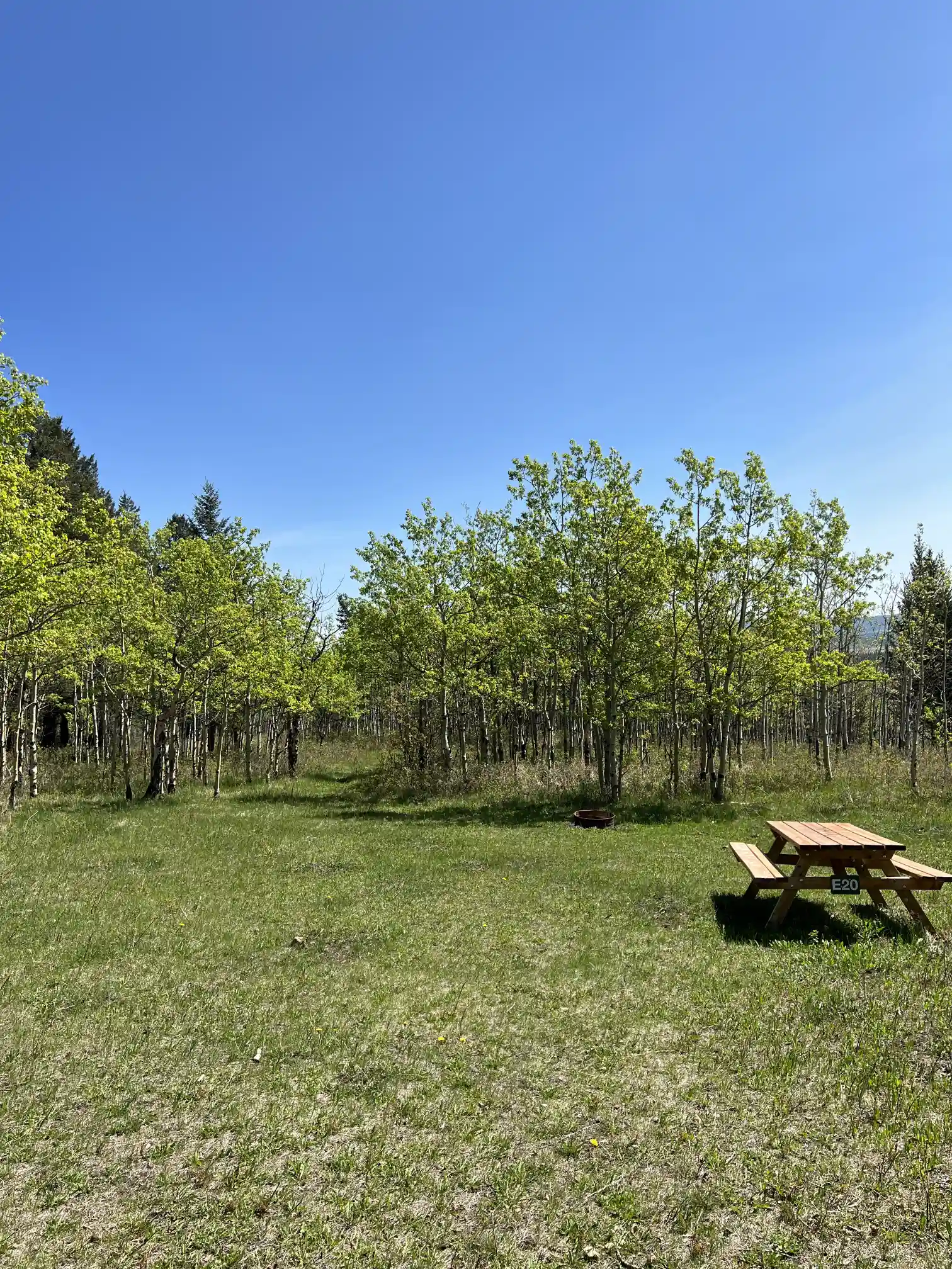 Photo of campsite E20