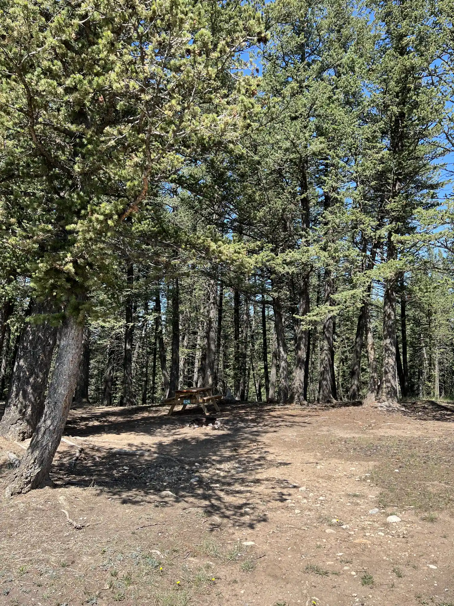 Photo of campsite E24