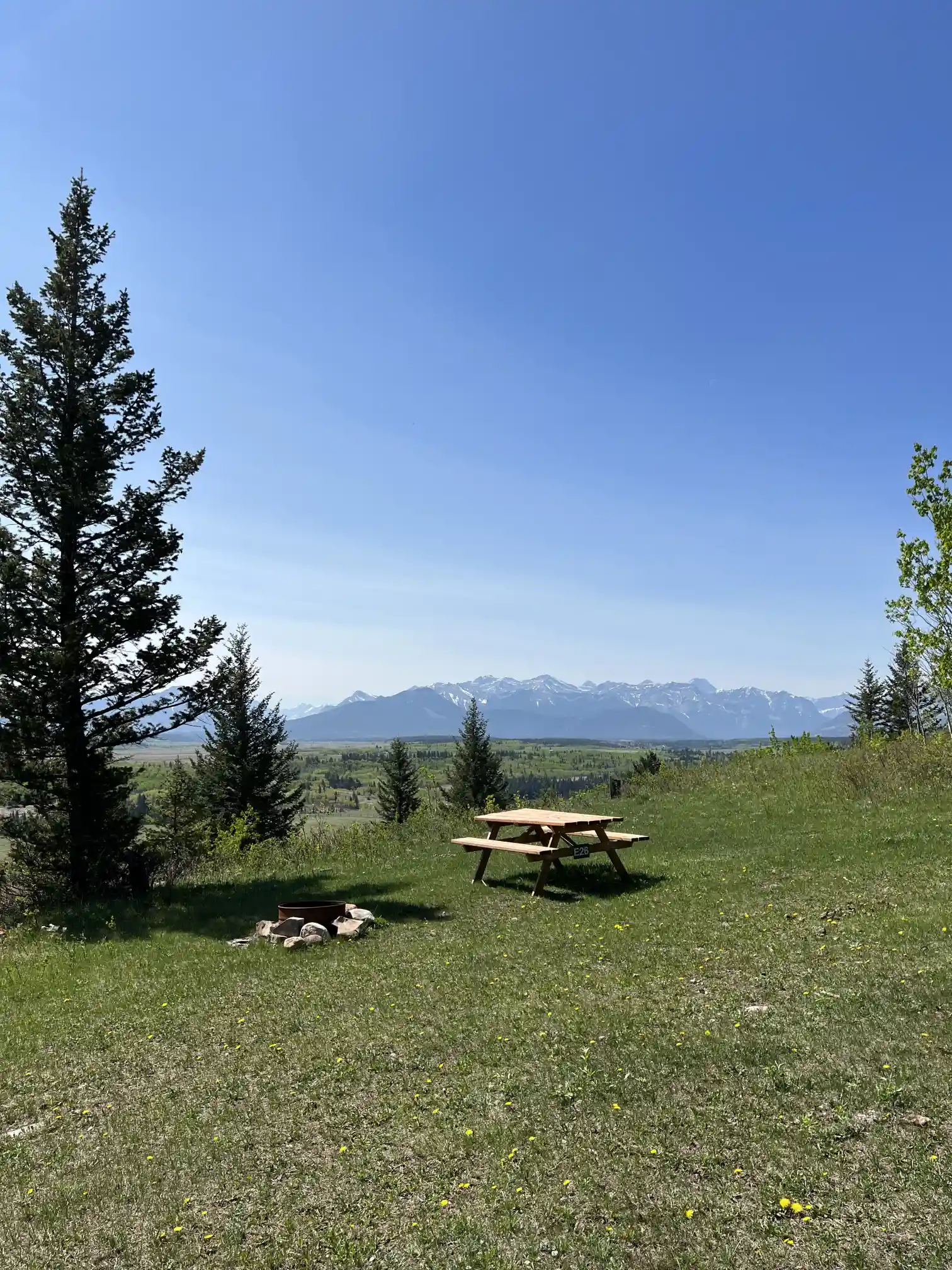 Photo of campsite E26