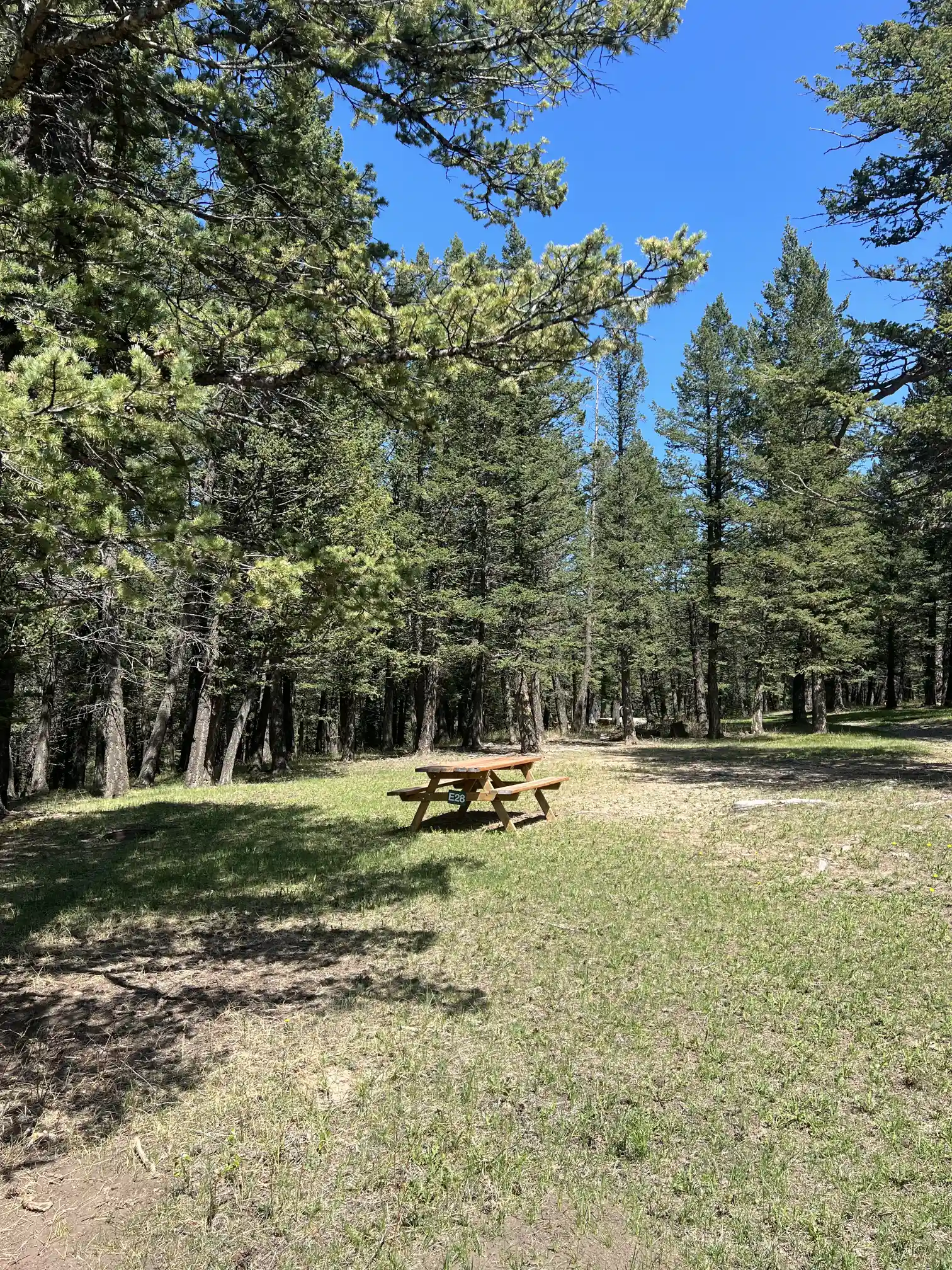 Photo of campsite E28