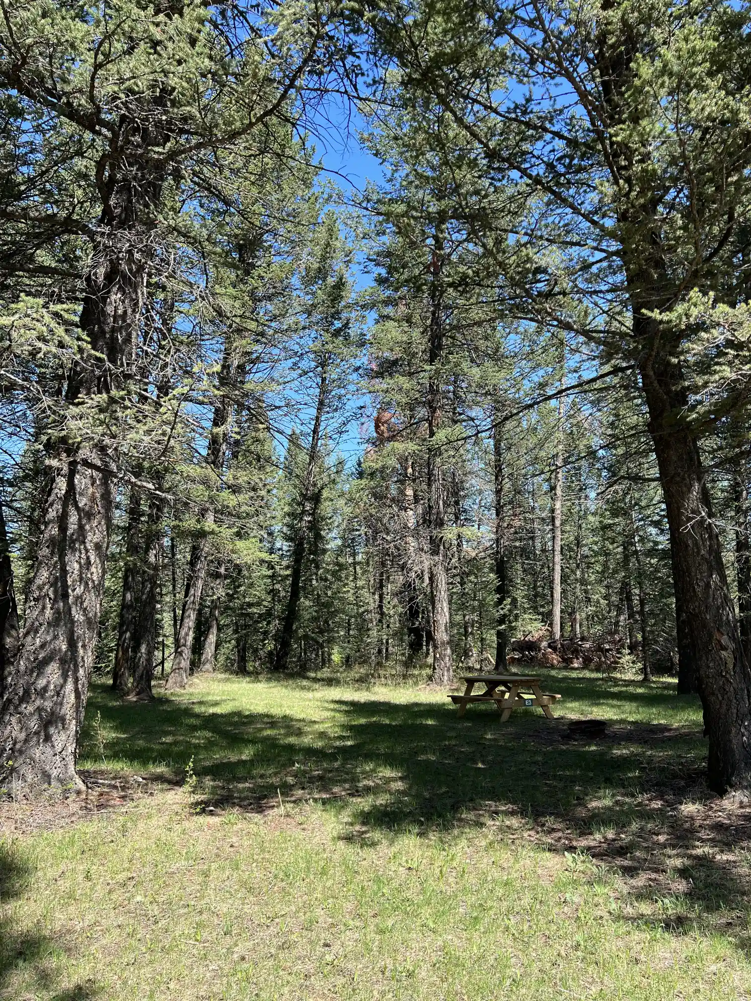 Photo of campsite E3