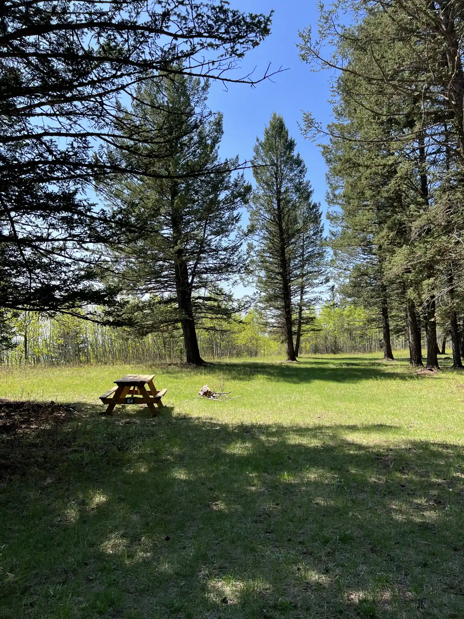 Photo of campsite E4