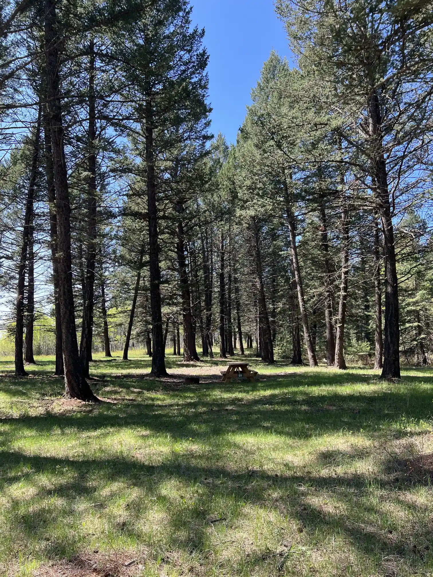 Photo of campsite E6