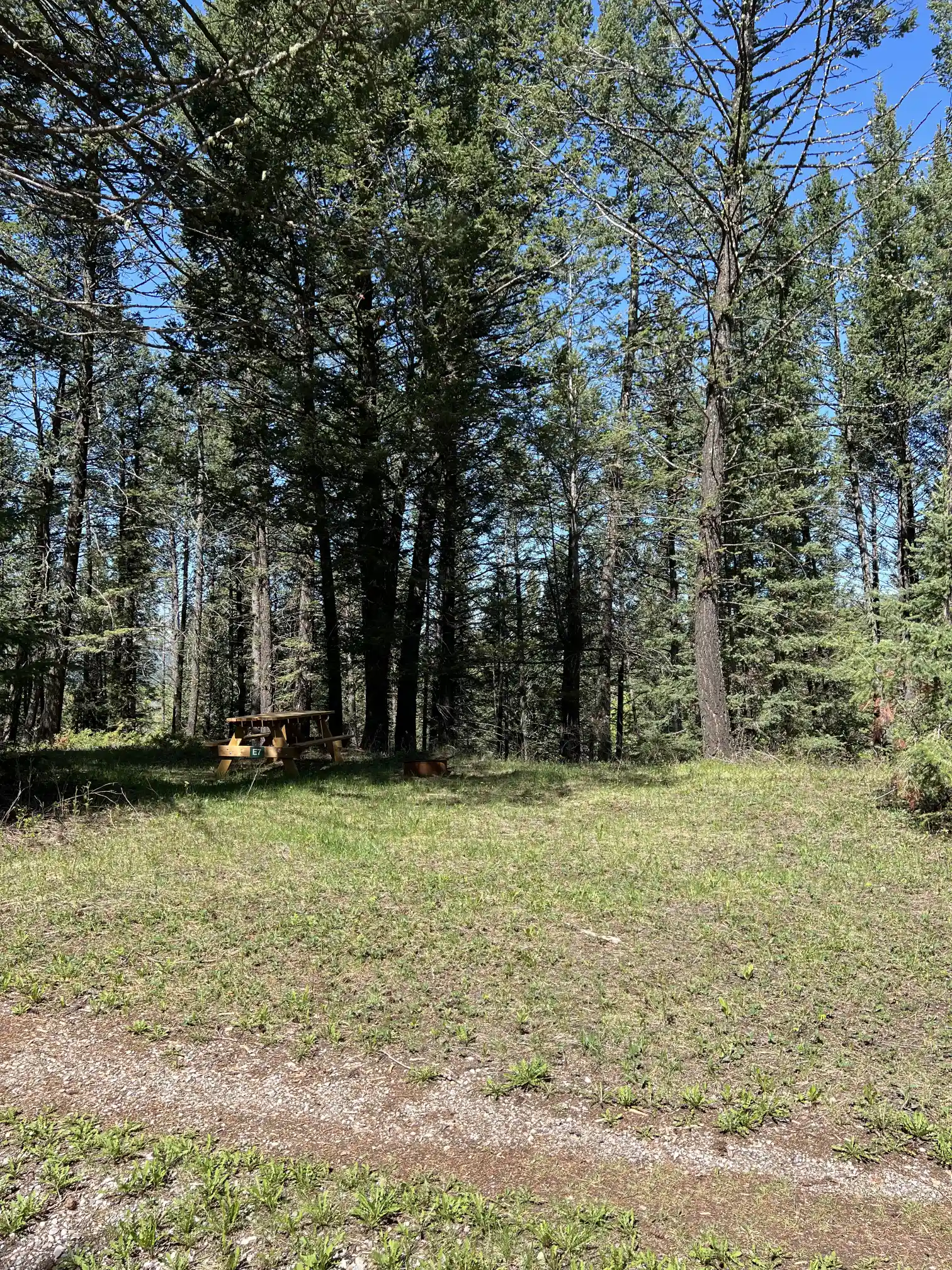 Photo of campsite E7